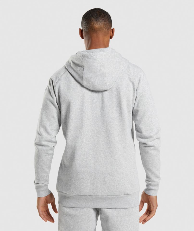 Men's Gymshark Crest Zip Up Hoodie Light Grey | NZ 4JAMCS